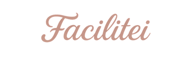 Facilitei