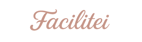 Facilitei